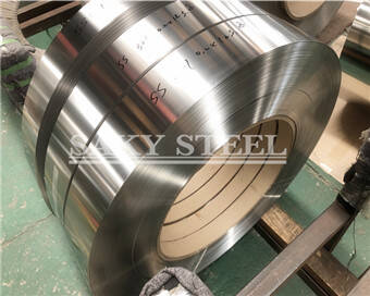 Stainless Steel Strip 4x8