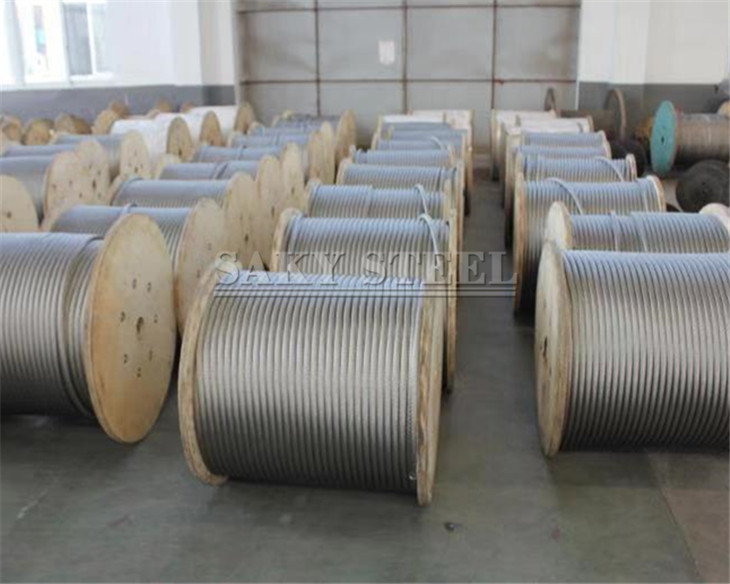 Stainless Steel Wire Rope para sa Electric Fencing System