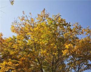 SAKY STEEL Successfully Concludes Its Second Photography Contest