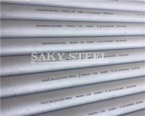 2101/S32101 Duplex Steel Pipe
