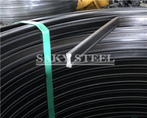 stainless steel profile wires