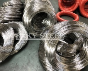 1.4401 Stainless Spring Steel Wire