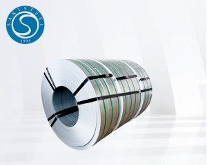 Precision 304 Stainless Steel Strips