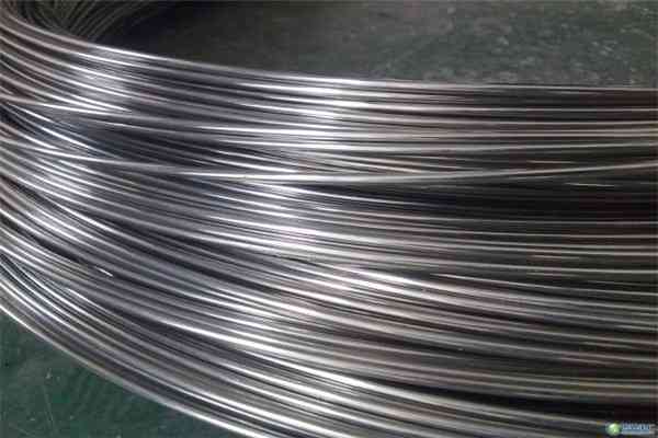 Professional Stainless Steel Wire Rod 
